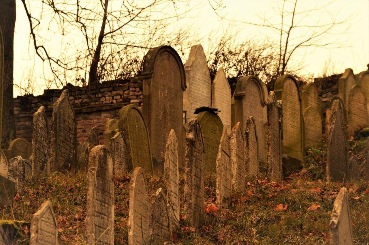 Penzion David Třešť Екстериор снимка